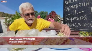 Анонс программы «Вперед, товарищи! На дачу!» от 16.09.25