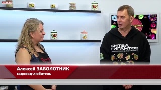 Анонс программы «Кулинарная магия» от 16.09.26