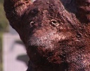 Медведица из гипса на Курако