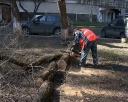 Одним чистым двором в Новокузнецке больше