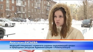 Новый конкурс «Семья. Экология. Культура»