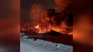 Первый экорапорт 2022