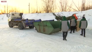 Акция «ЕлкиИгоголки» до 31 января