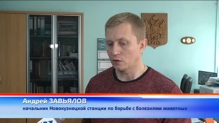 Еще одна проверка ветеринаров зооуголка на «Садовой»