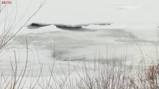 Первые прогнозы на паводок