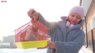 В Новокузнецке поселили белок